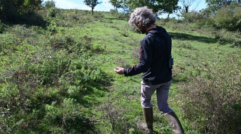 Pimorin. Projet de parc solaire : le tribunal rejette les recours des opposants, qui envisagent de faire appel