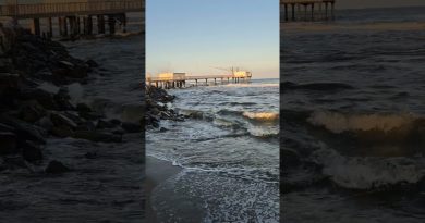 Plage Sauvage à Lido Adriano, Ravenne : Évasion au Bord de la Mer