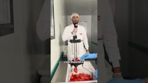 Plongée dans les coulisses des cantines des collèges héraultais !