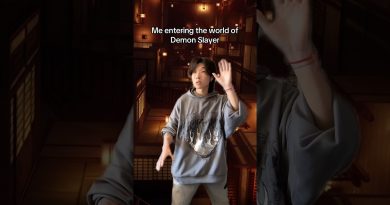 Plongée dans l'univers captivant de Demon Slayer