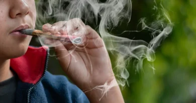 Plusieurs cantons romands s'attaquent à ce «véritable fléau»