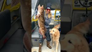 Poissons géants : Amérique, Europe et l'humour canin !