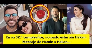 Pour son 32e anniversaire, Hande ne peut se passer de Hakan.