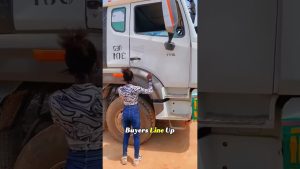 Pourquoi des navires de camions chinois se dirigent vers l'Afrique