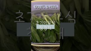 Préparation de cubes de bok choy pour bébé à la vapeur