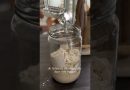 Préparez votre propre levain facilement !