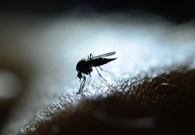 Prévenir le paludisme chez les enfants en milieu tropical : conseils pratiques de santé