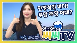 Prévisions maritimes du week-end : mer stable le 11 octobre