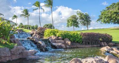 Guadeloupe, Basse-Terre, Pointe-à-Pitre, volcano, beach, palm, waterfall, Creole, island
