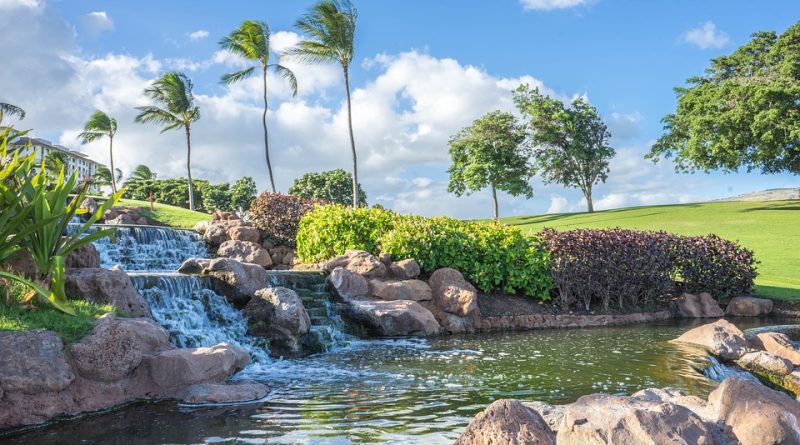 Guadeloupe, Basse-Terre, Pointe-à-Pitre, volcano, beach, palm, waterfall, Creole, island