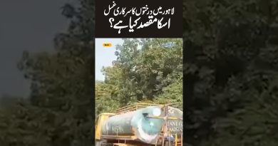 Programme de bain des arbres à Lahore : nettoyage quotidien pour lutter contre la pollution
