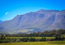 Occitanie, Toulouse, Montpellier, landscape, sea, mountain, vineyard, canal
