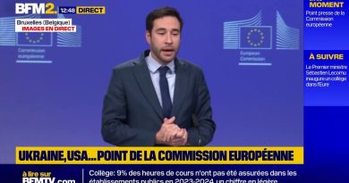 Programme militaire européen : le Japon veut également adhérer à "Safe"