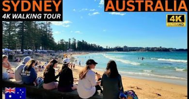 Promenade Relaxante de Shelly à Manly Beach en 4K UHD