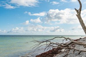 Corse, Ajaccio, Bastia, mountain, beach, sea, cliff, village, maquis, landscape