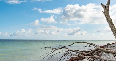 Corse, Ajaccio, Bastia, mountain, beach, sea, cliff, village, maquis, landscape