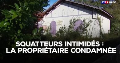 Propriétaire condamnée : squatteurs sous pression｜TF1 INFO