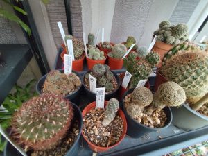 Au sec et à la lumière ...