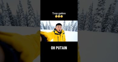 Quand la neige s'invite, c'est la galère !