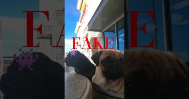 Quand la réalité dépasse l'IA : les fake news révélées