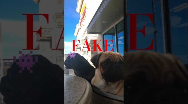 Quand la réalité dépasse l'IA : les fake news révélées