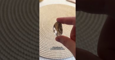 Quartz fumé : la pierre de la stabilité et de la sécurité