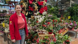 Que faire de la composition florale qu'on m'a offert à Noël ? - ICI