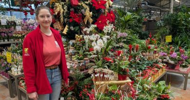 Que faire de la composition florale qu'on m'a offert à Noël ? - ICI