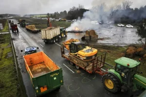 Dermatose bovine : les agriculteurs suspendent l'abattage total des troupeaux