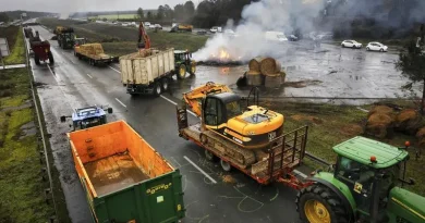 Dermatose bovine : les agriculteurs suspendent l'abattage total des troupeaux