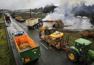 Dermatose bovine : les agriculteurs suspendent l'abattage total des troupeaux