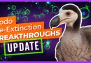 RÉVOLUTION : Le Dodo, un retour de l'extinction