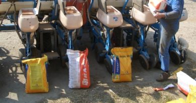 Ravageurs maïs, quelle protection pour la prochaine campagne ?