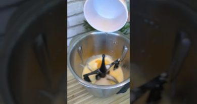 Réalisez une délicieuse glace à la vanille 🍦 | FlorentCmt