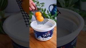 Recette facile de cheesecake Skyr : un dessert irrésistible !