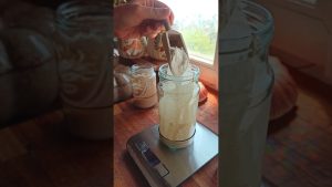 Recette facile de levain maison pour un pain savoureux