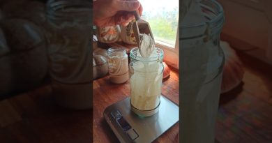 Recette facile de levain maison pour un pain savoureux