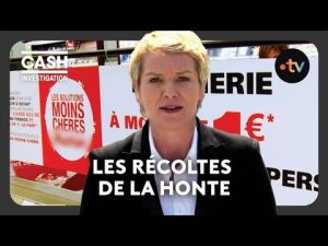 Récoltes de la honte : enquête sur le cash