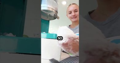 Rejoignez notre équipe cet été ! 🍧✨