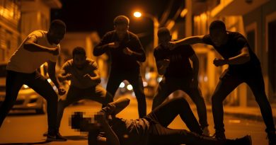 Rémire-Montjoly : Pas de mandat de dépôt pour les condamnés dans l'affaire de l'agression du policier en civil