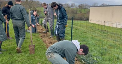 "Renforcer la haie bocagère" : des centaines d’arbustes plantées par des élèves du lycée de Brémontier-Merval