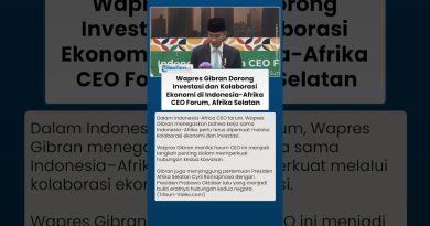 Renforcer les liens : Gibran promeut l'investissement Indonésie-Afrique