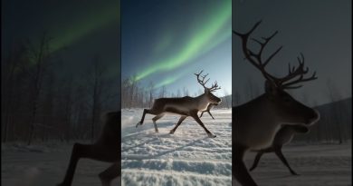 Rennes et Aurores Boréales : Un Voyage Éblouissant