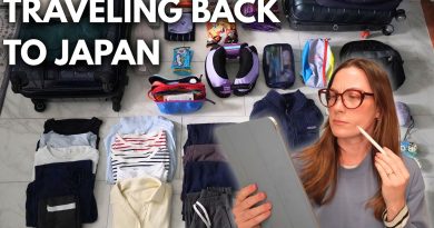 Retour au Japon depuis les USA : Astuces de voyage et documents