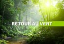Retour au vert en Guadeloupe après un épisode pluvieux maîtrisé