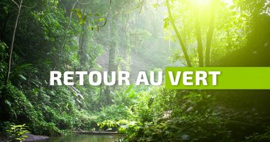 Retour au vert en Guadeloupe après un épisode pluvieux maîtrisé