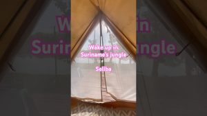 Réveillez-vous au glamping Seliba, Suriname | Émerveillement mondial