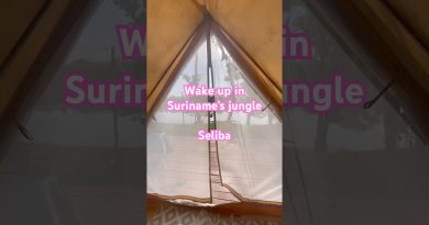 Réveillez-vous au glamping Seliba, Suriname | Émerveillement mondial