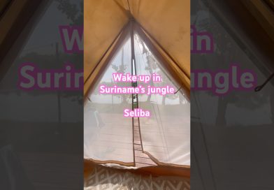 Réveillez-vous au glamping Seliba, Suriname | Émerveillement mondial