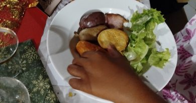 Réveillon sous protection judiciaire : Noël autrement pour douze enfants placés